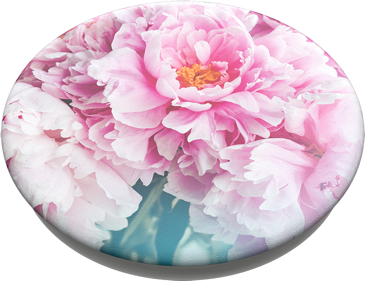 Blooming Pink Peony Flower PNG