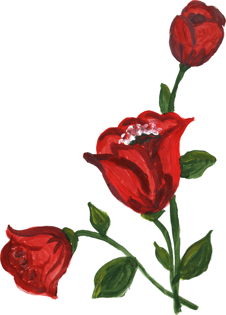 Blooming Red Rose Artwork PNG