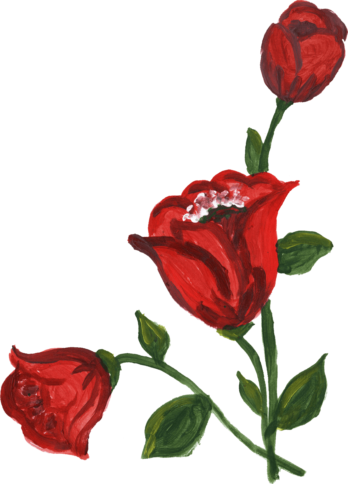 Blooming Red Rose Artwork PNG