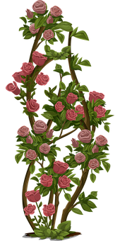Blooming Rose Vine Artwork PNG