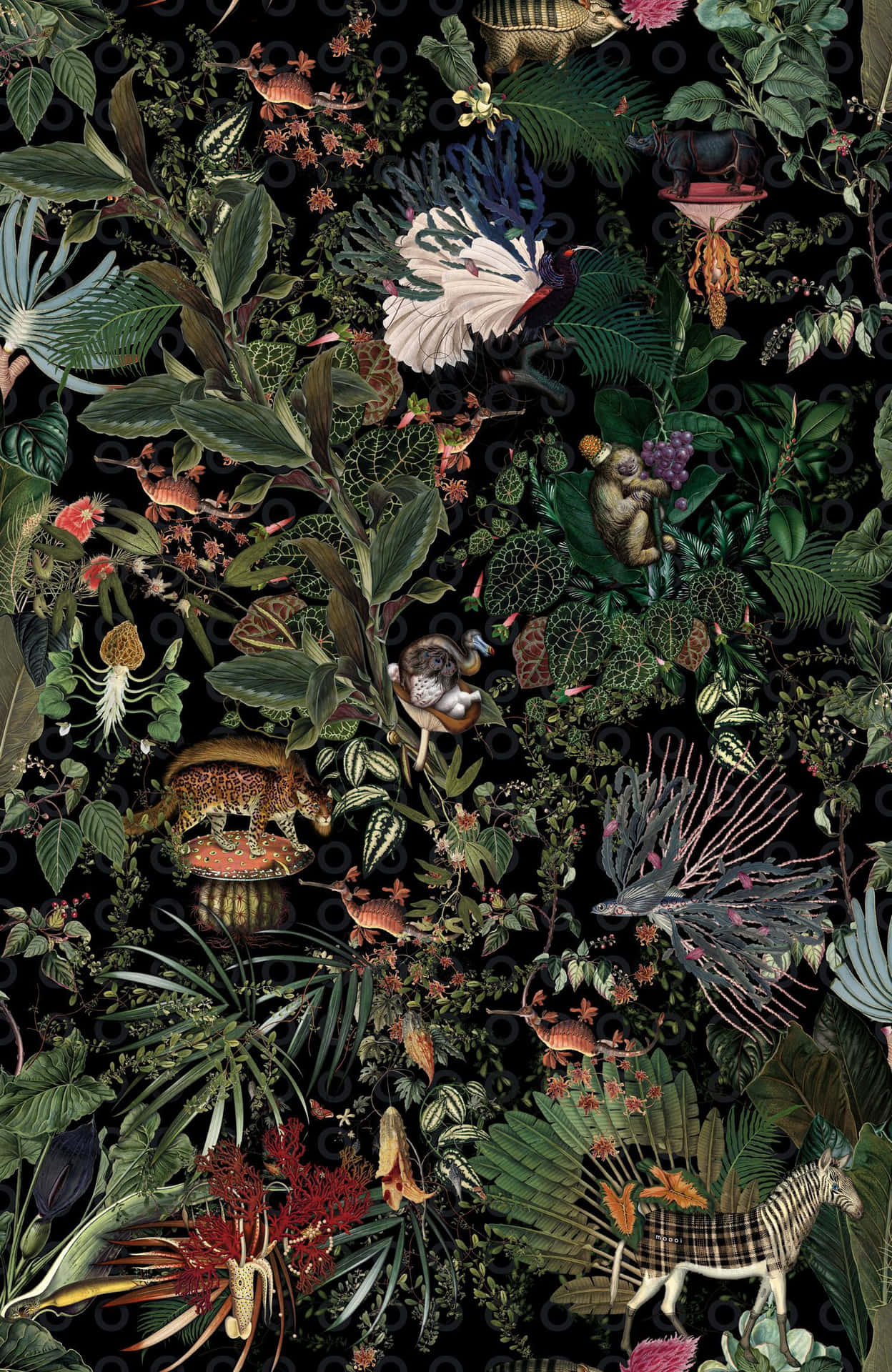 Blooming Serenity - A Close Up Shot Of Botanical Beauty Wallpaper