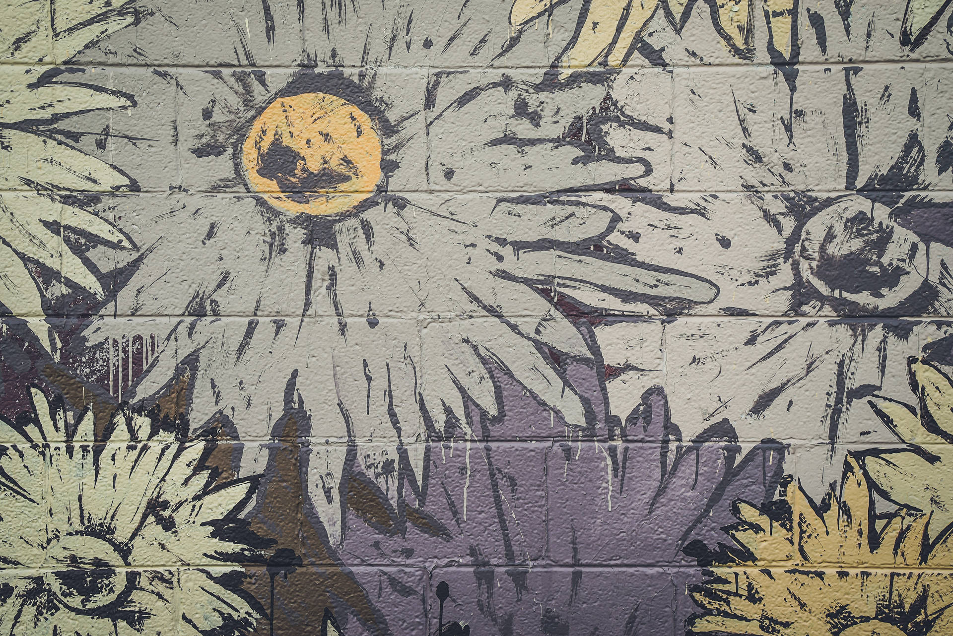 Sunflowers graffiti wallpaper artwork on brick wall.