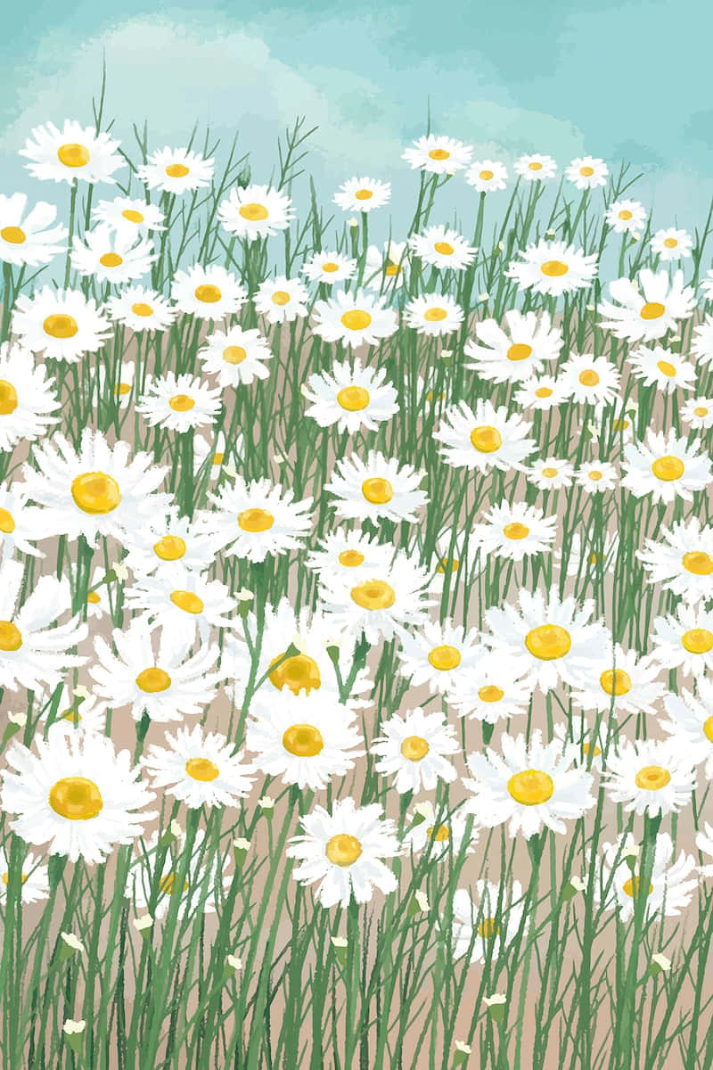 Sticker Springtime: field of daisy flowers with blue sky and clouds 