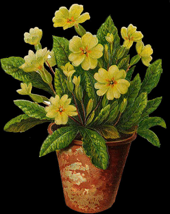 Blooming Yellow Flowersin Clay Pot PNG