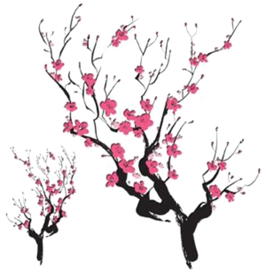 Blossoming Cherry Branches.png PNG