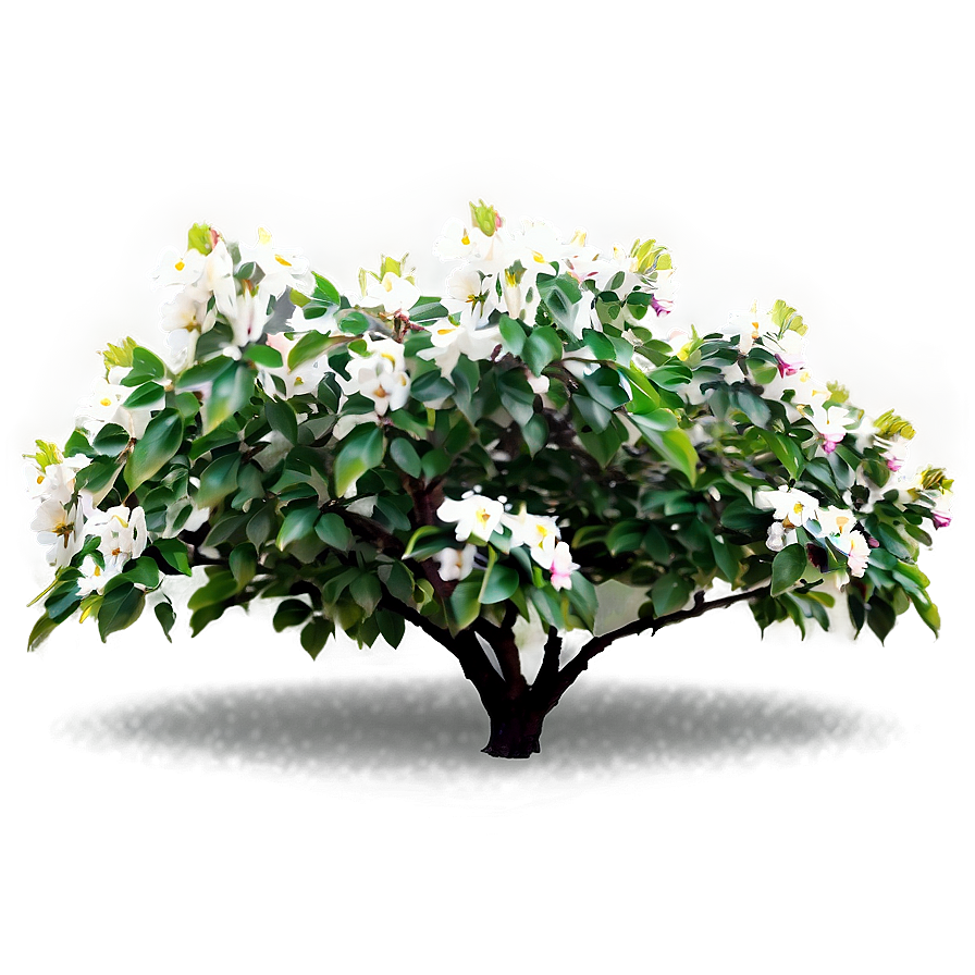 Blossoming Flower Bush Png Nbv81 PNG