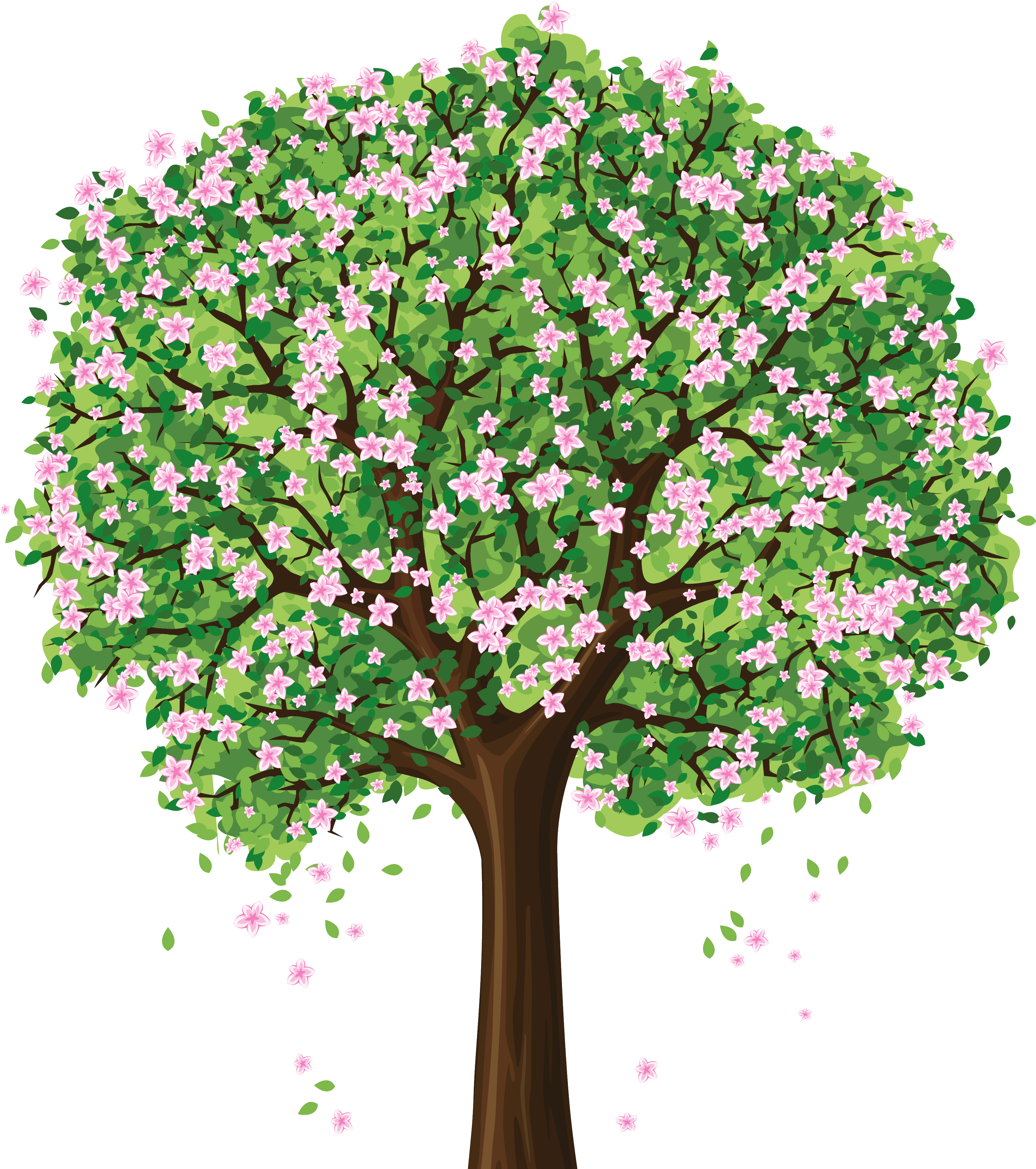 Blossoming Flower Tree Illustration PNG