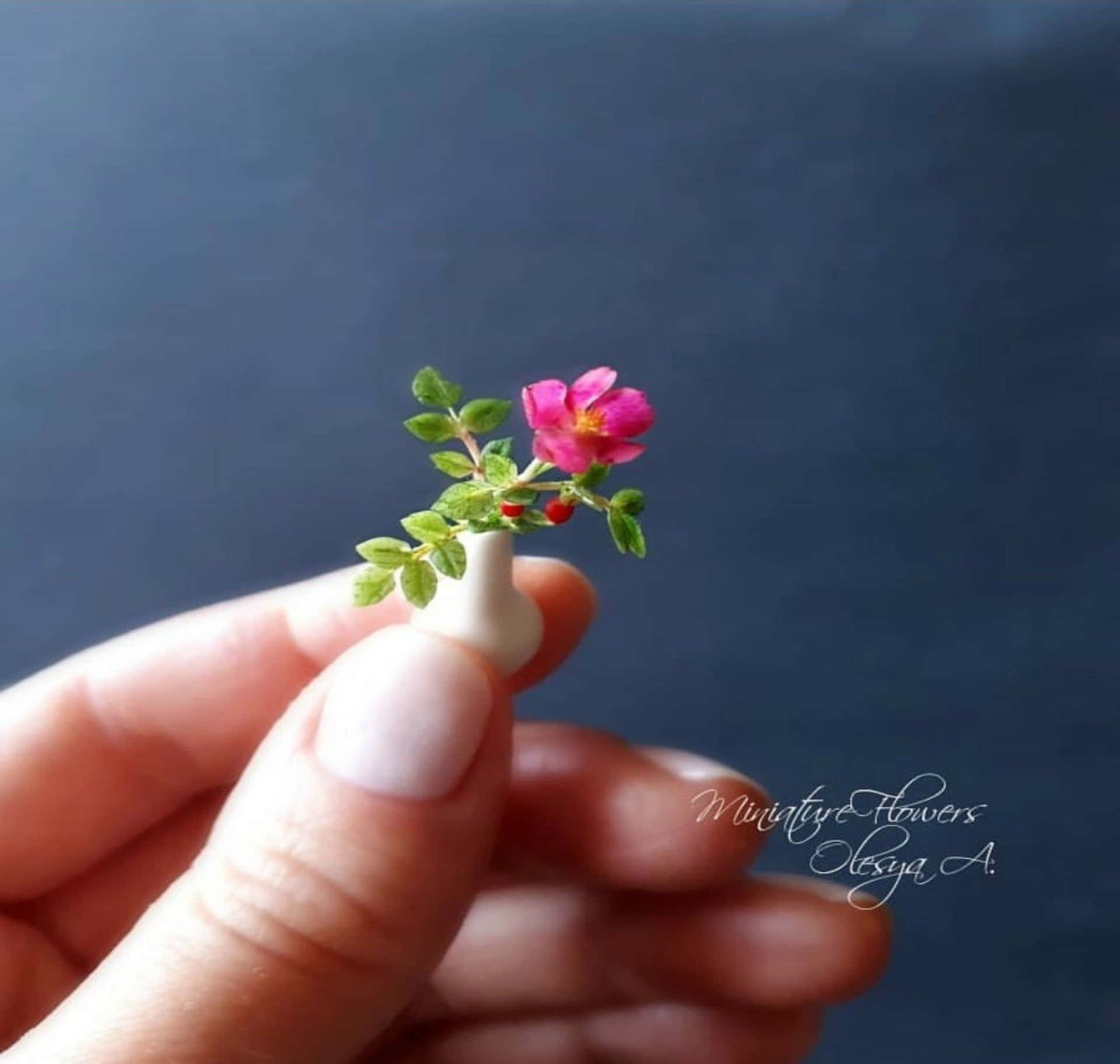 Blossoming Miniature Roses In Full Bloom Wallpaper