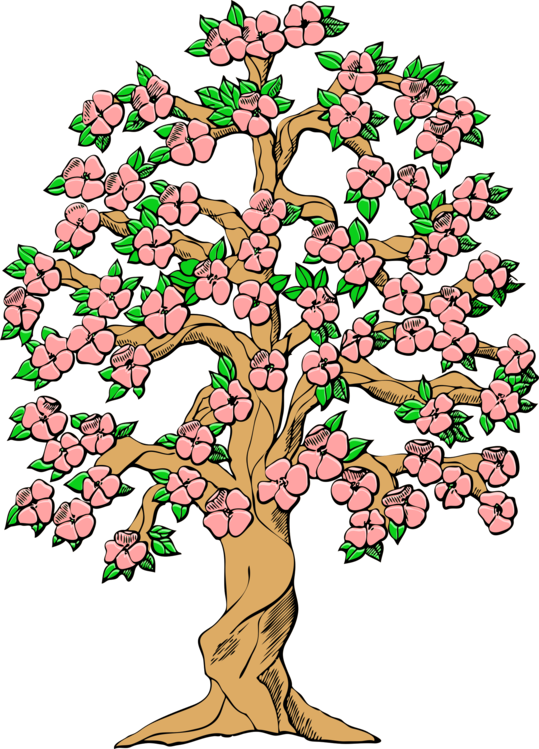 Blossoming Pink Flower Tree Illustration PNG