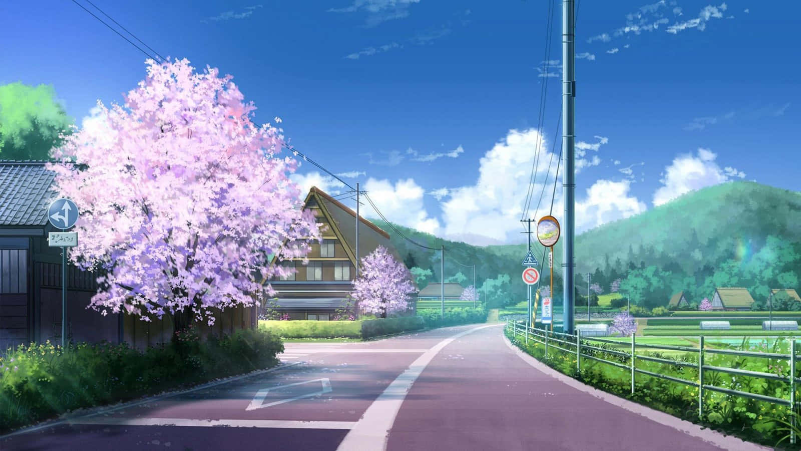 Blossoming Springtime Anime Street Wallpaper