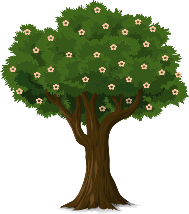 Blossoming Tree Illustration PNG
