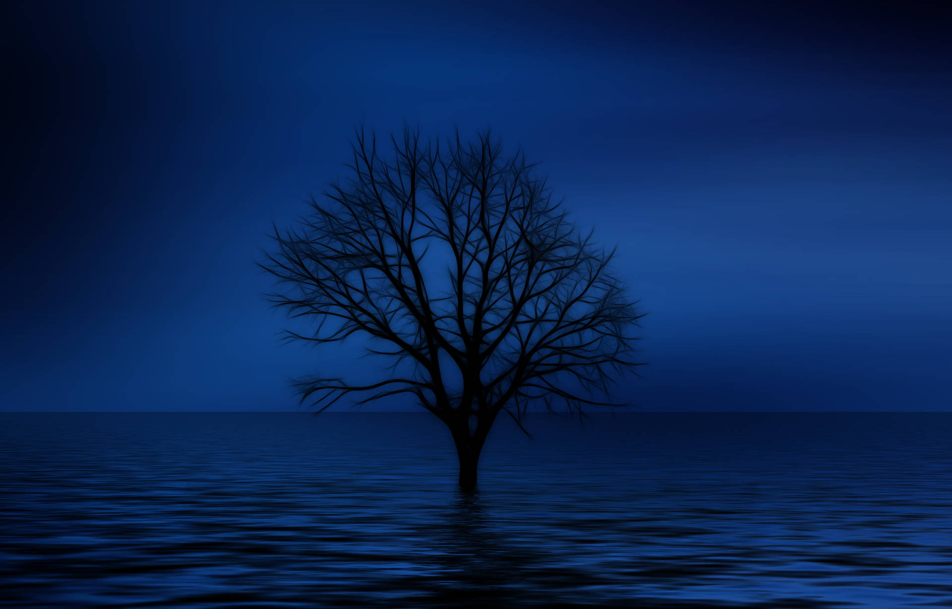 Blue 4k Lonely Tree