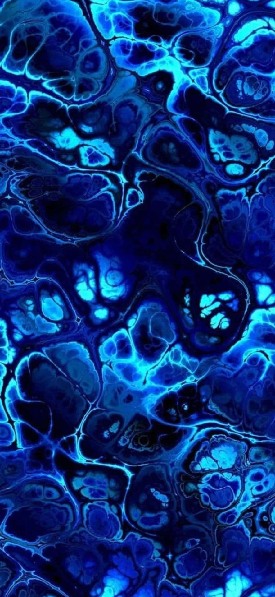 Blue Abstract Organic Patterns Wallpaper