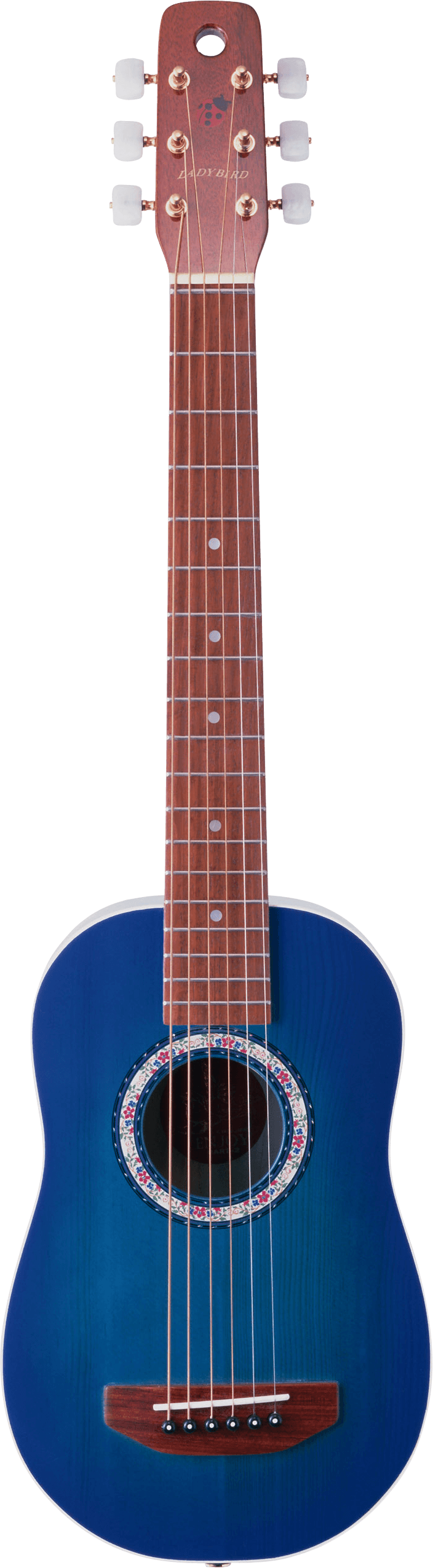 Blue Acoustic Guitar PNG