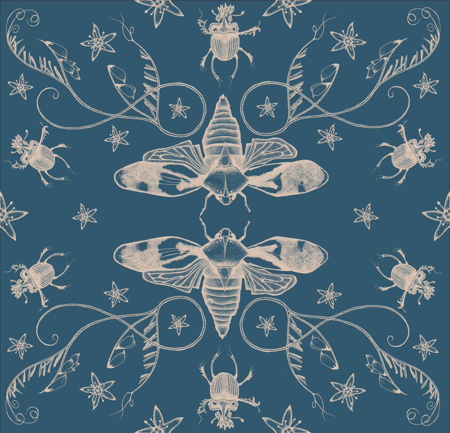 Blue Aesthetic Cicada Wallpaper