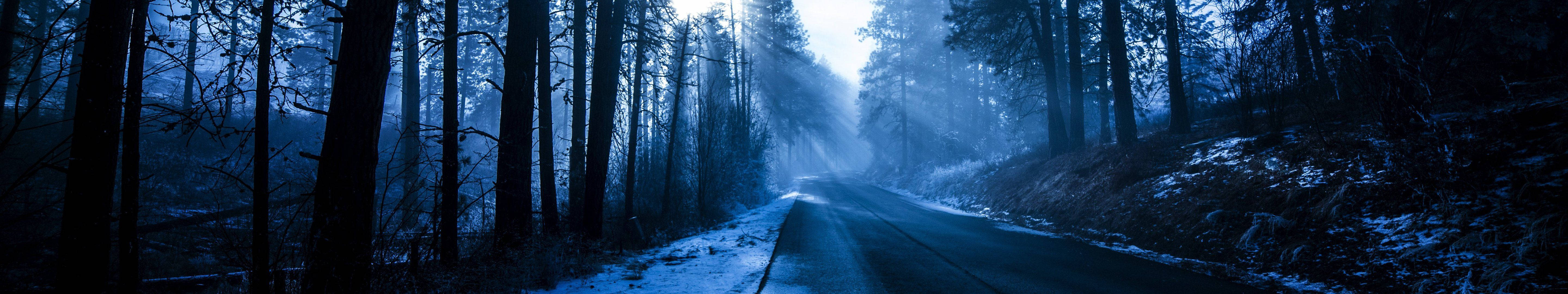 Take a dreamy walk through this picturesque Blue Aesthetic Forest Road. Wallpaper