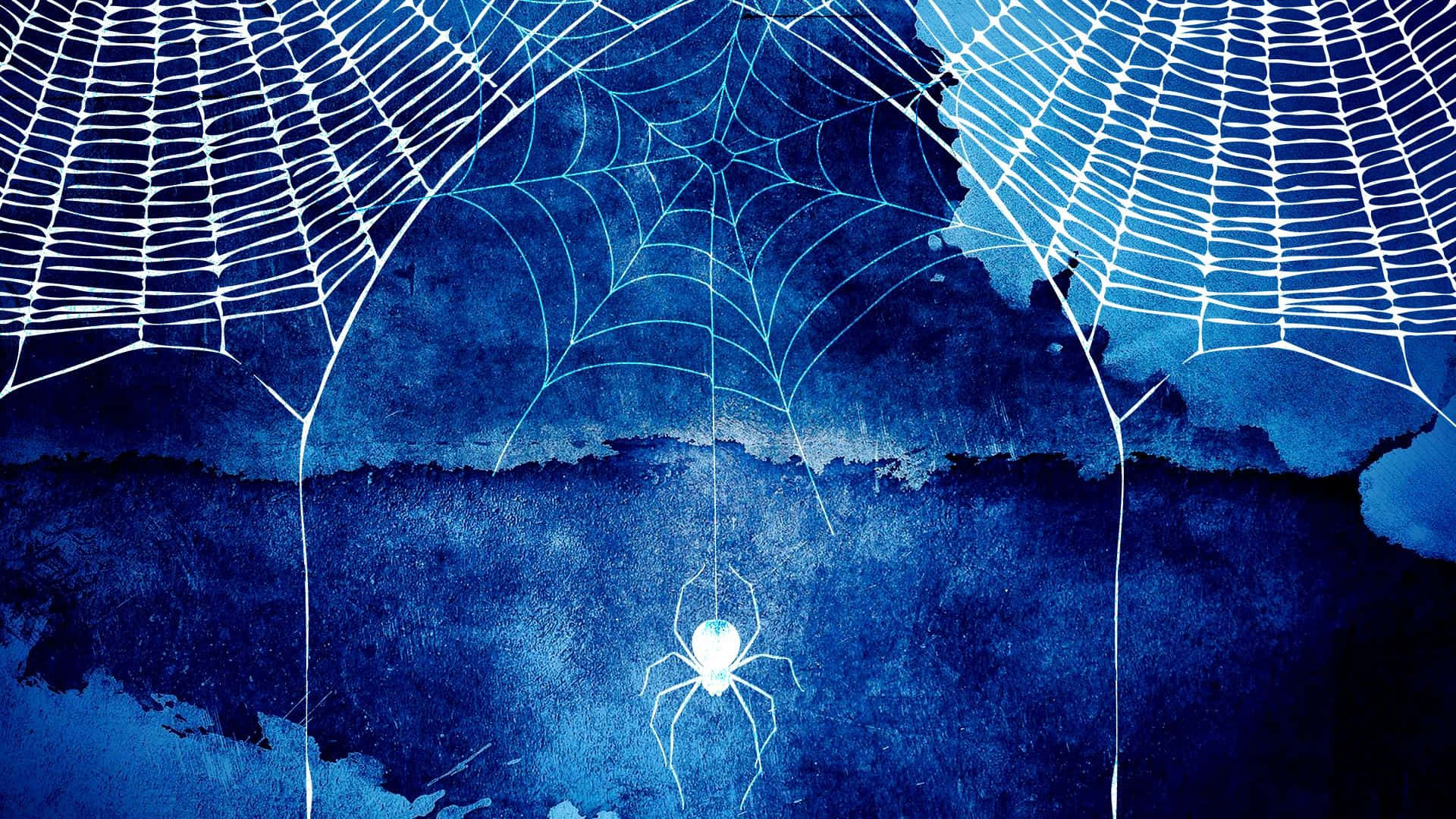 Blue Aesthetic Landscape Spider Web Background
