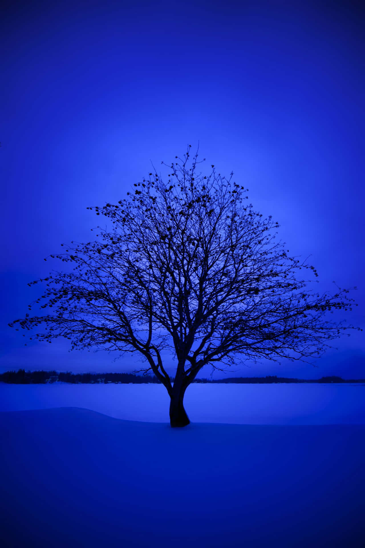 Enjoy the beauty of this blue aesthetic scene.