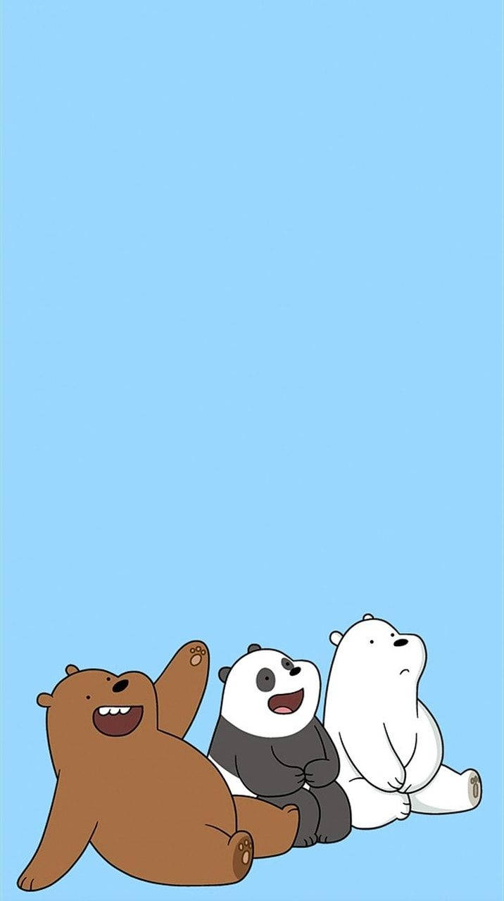 Image  A charming blue sky captivates the happiness of We Bare Bears Wallpaper