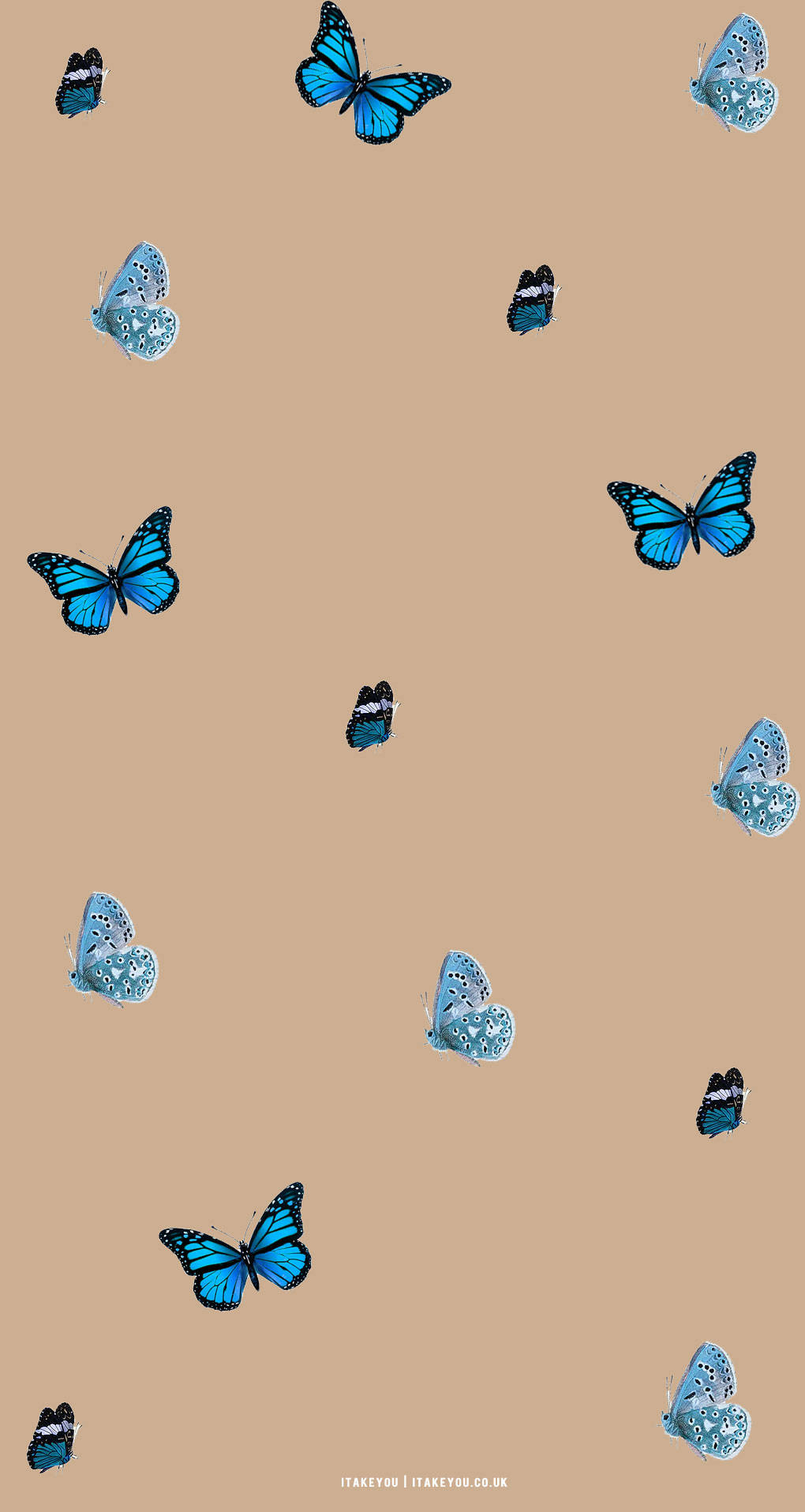 Blue And Beige Butterfly Aesthetic Wallpaper