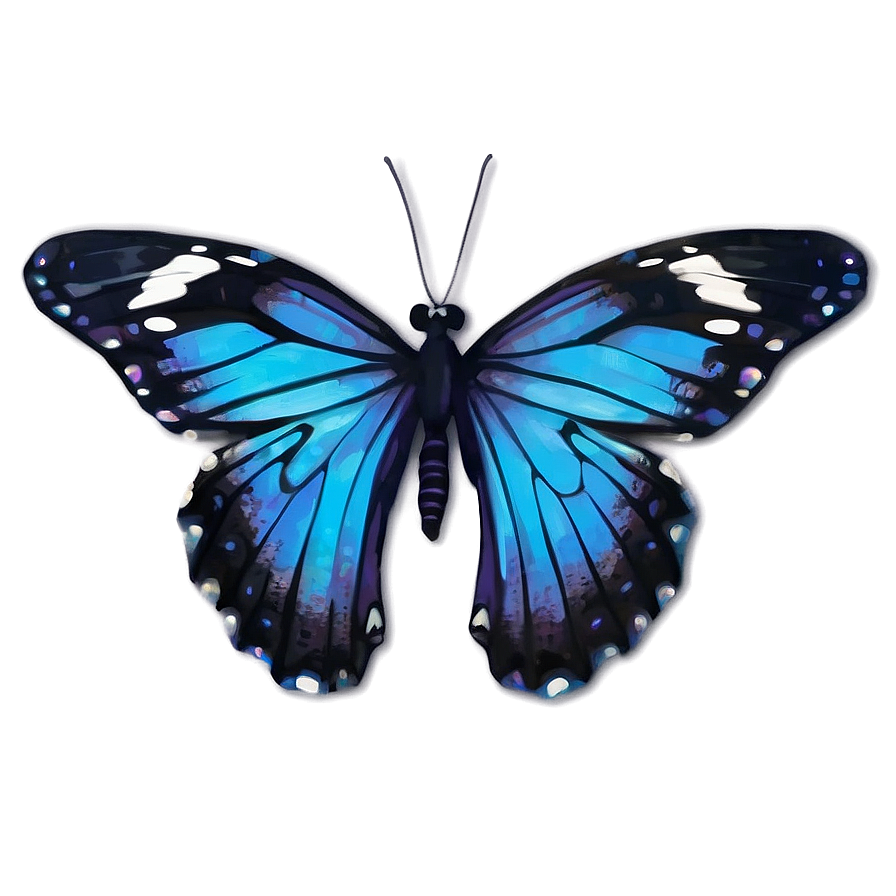 Download Blue And Black Butterfly Png 74 | Wallpapers.com