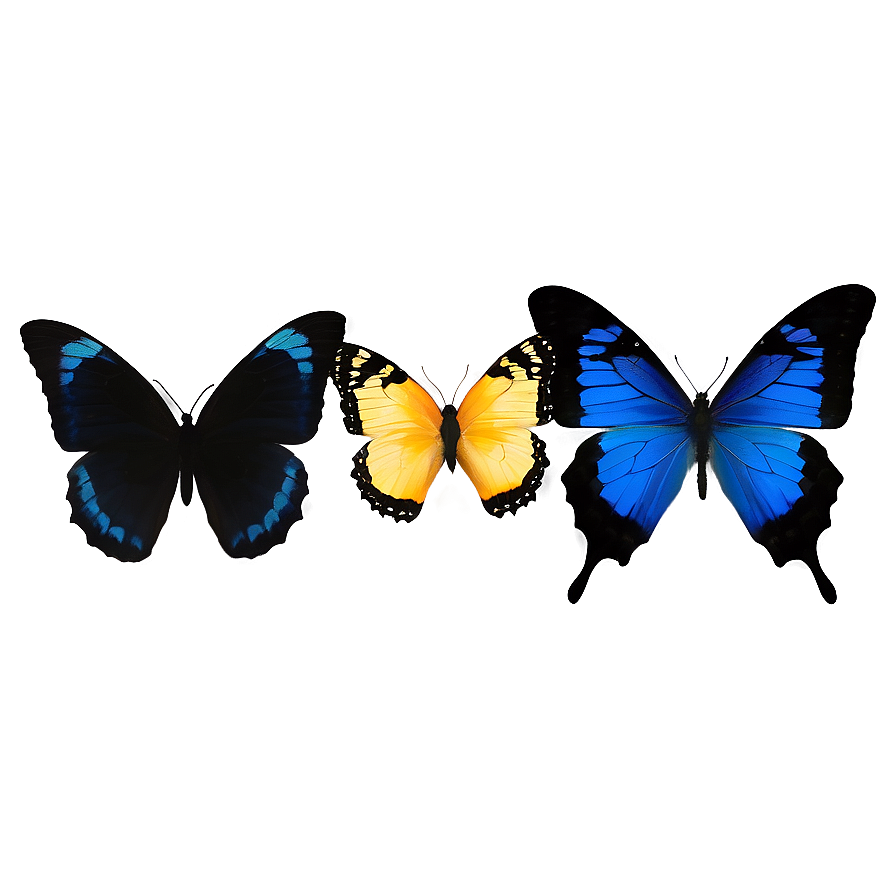 Blue And Black Butterfly Png Ycy PNG