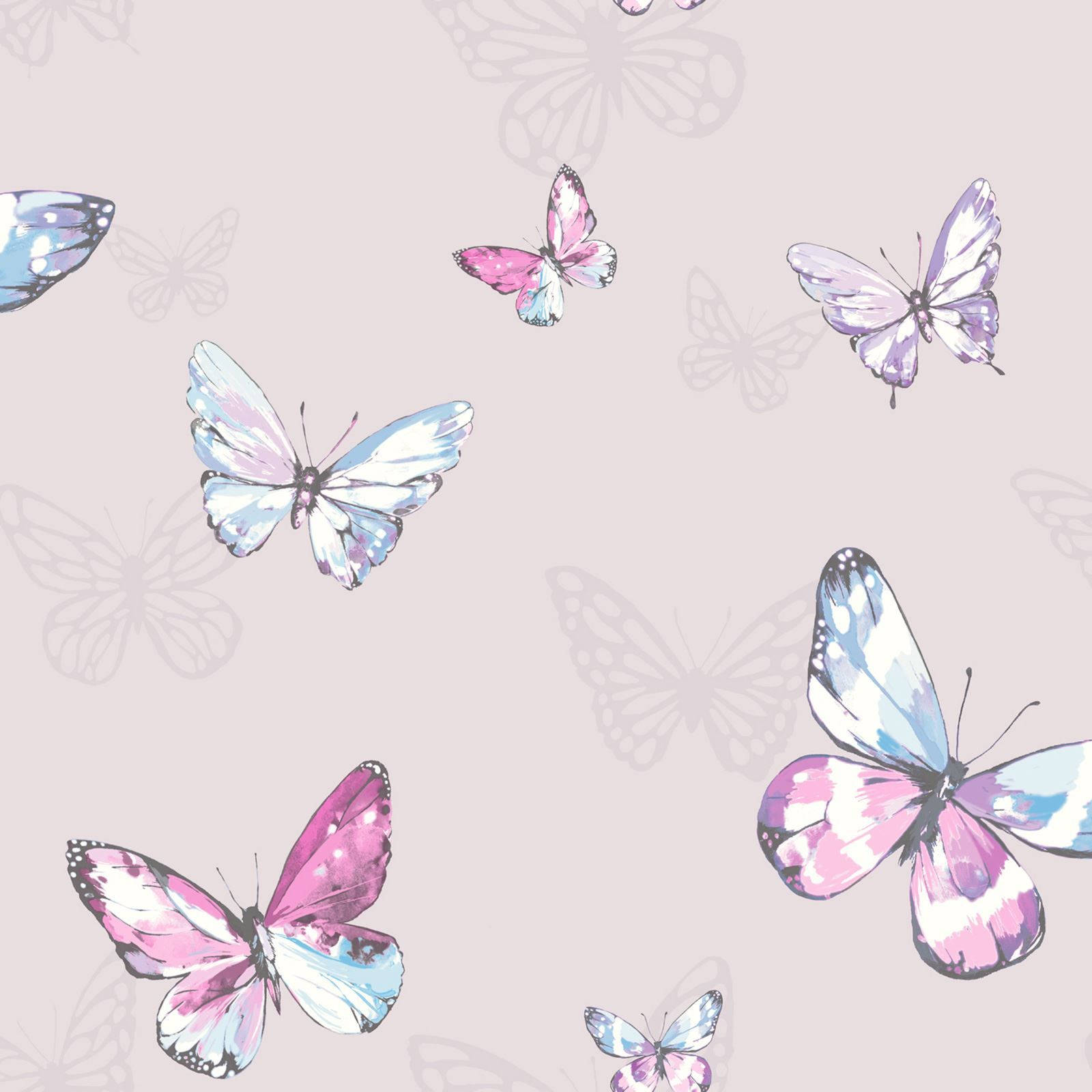 Blue And Cute Pink Butterfly Colors Wallpaper