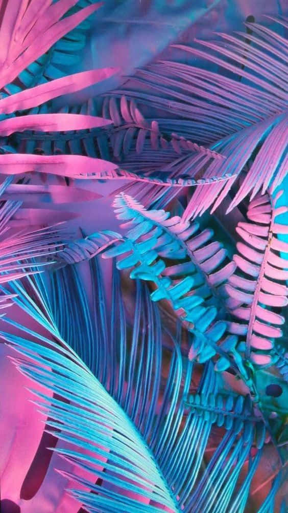 Eintropisches Palmenblatt Mit Blauen Und Pinken Farben Wallpaper