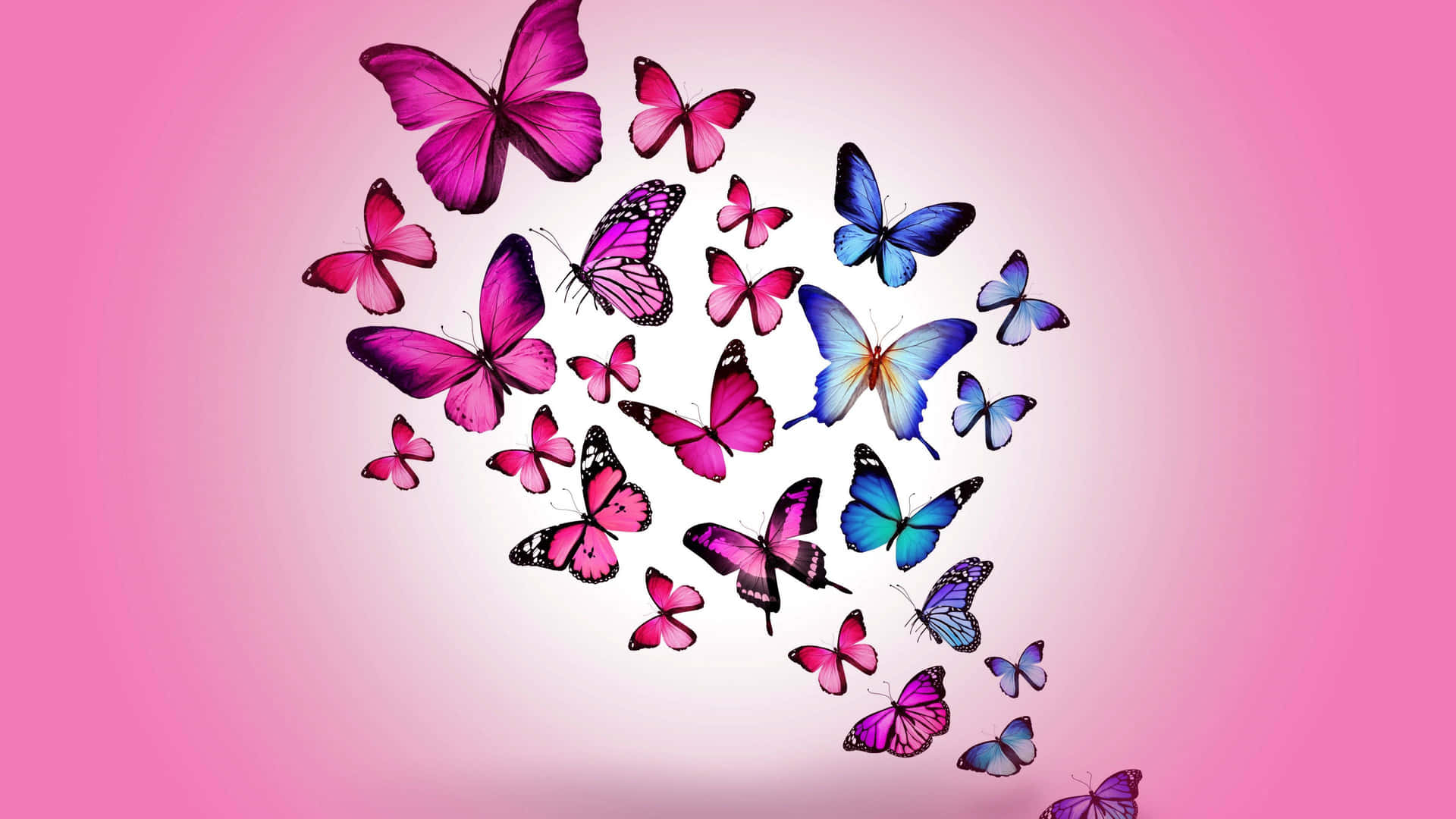 Blauerund Pinker Schmetterlinge Hintergrund.