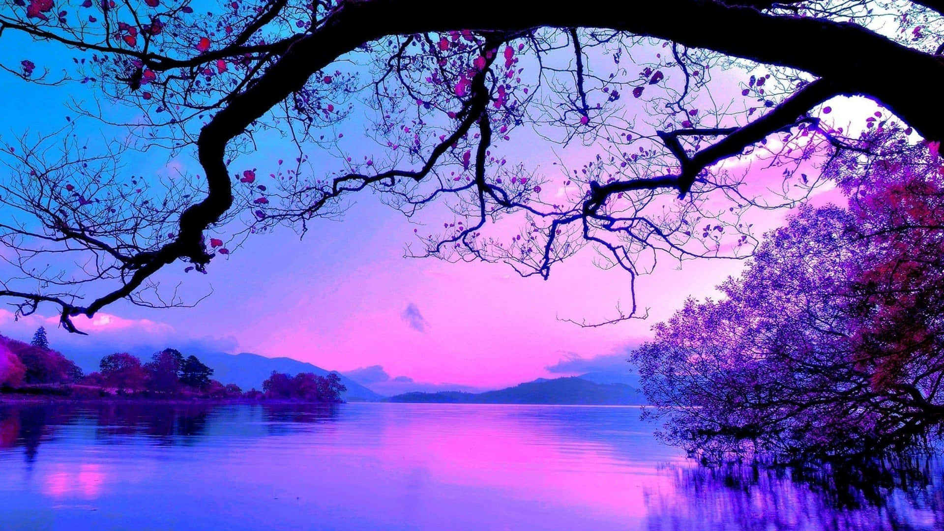 A Purple And Blue Sky With Trees And Water