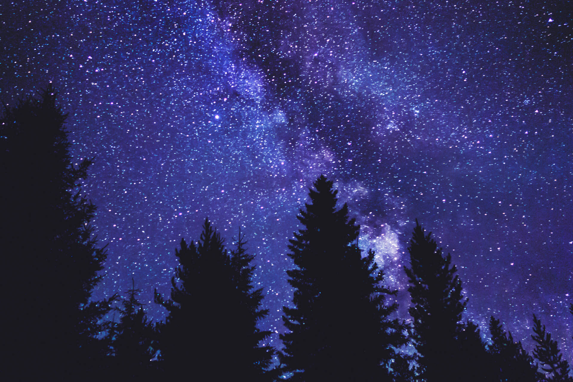 Blue And Purple Galaxy Above The Woods Wallpaper