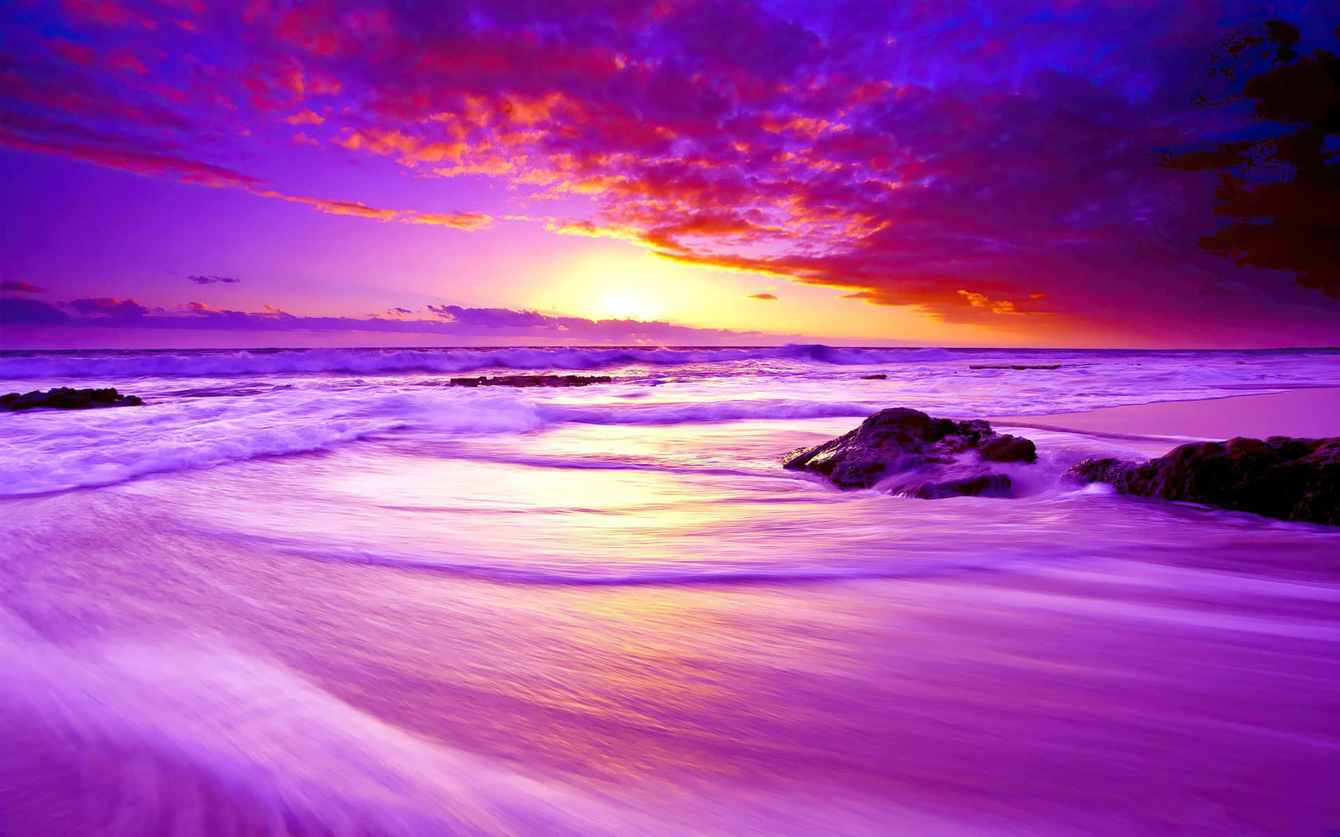 A vibrant sunset with a mix of blue and purple hues painting the sky. Wallpaper