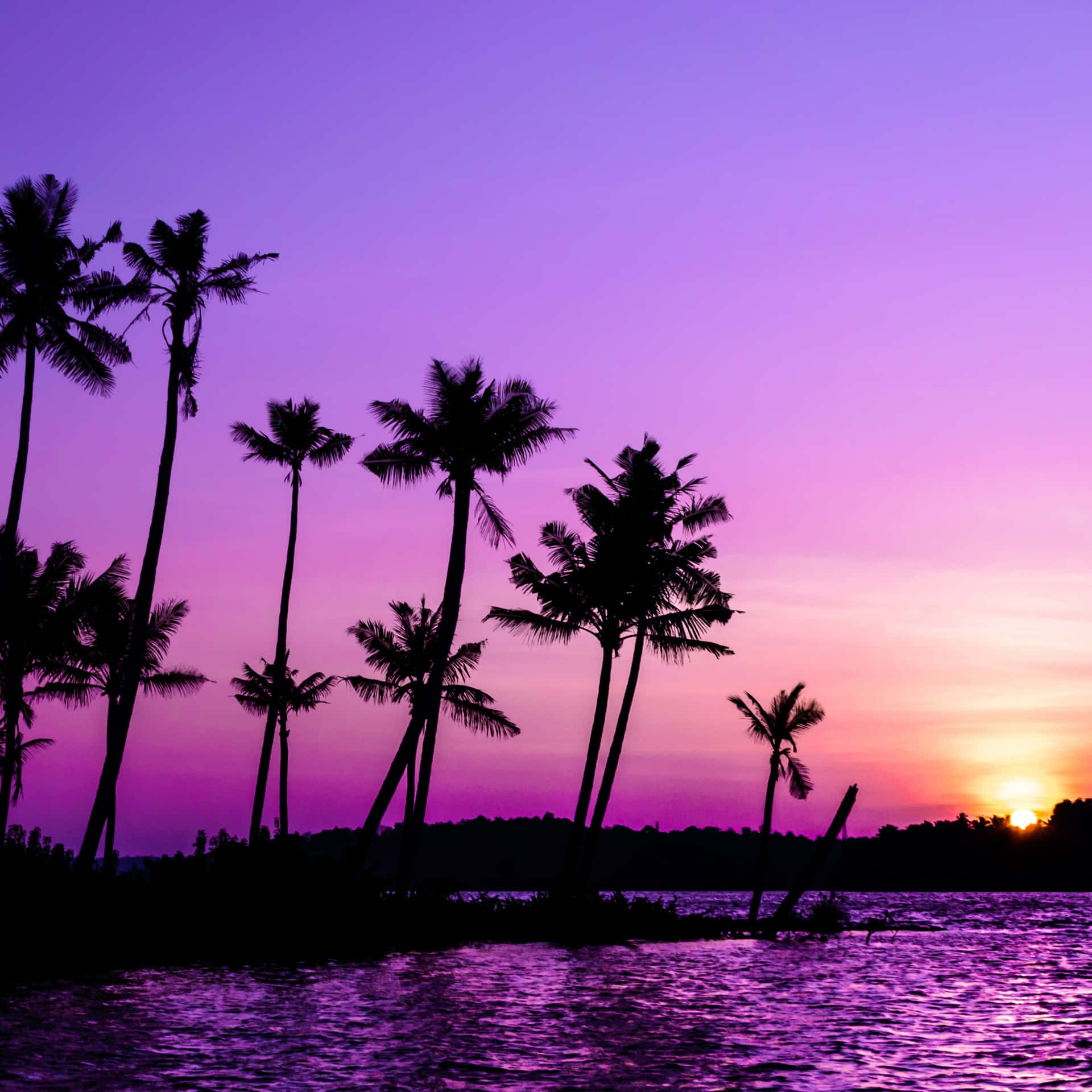 Blue And Purple Sunset With Palm Trees Wallpaper