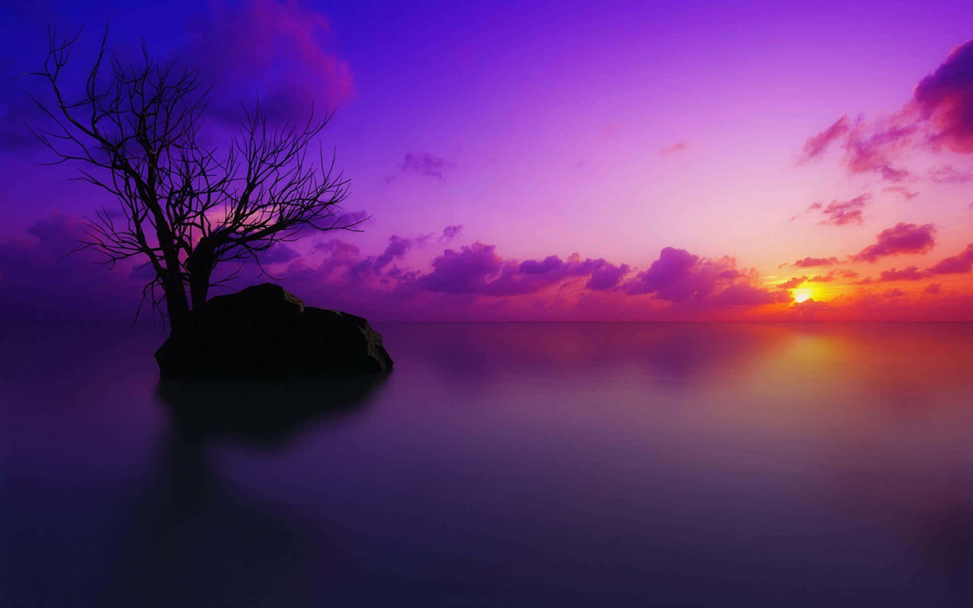 Barren Tree On A Blue And Purple Sunset Wallpaper
