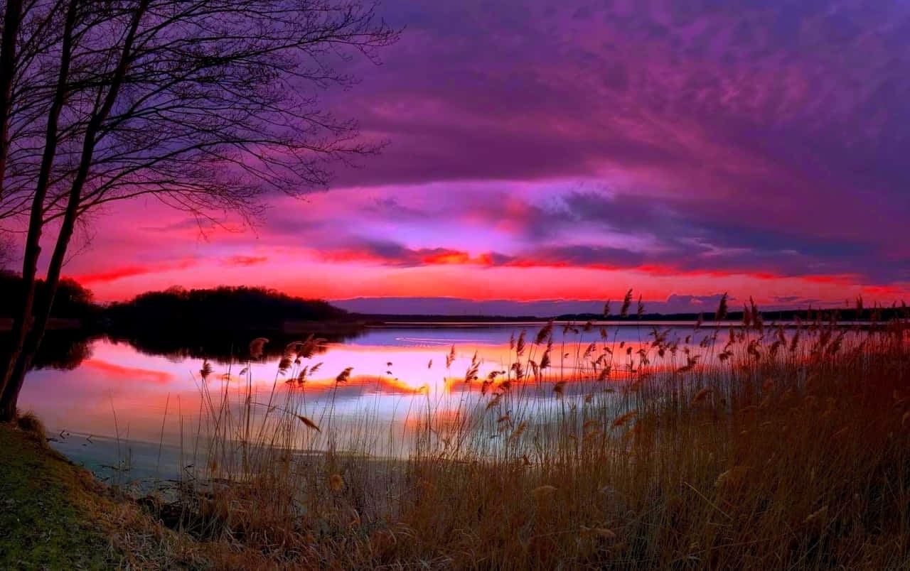 Einwunderschöner Blick Auf Einen Blauen Und Violetten Sonnenuntergang. Wallpaper