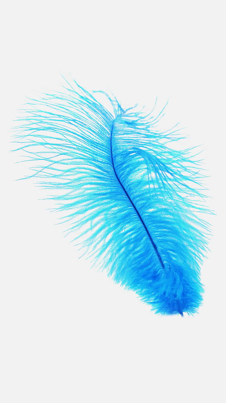 A Blue Feather On A White Background