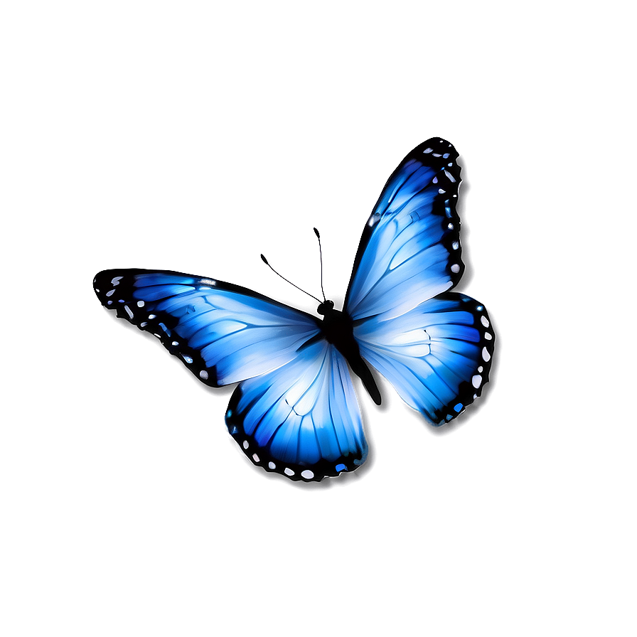 Blue And White Butterflies Png 66 PNG