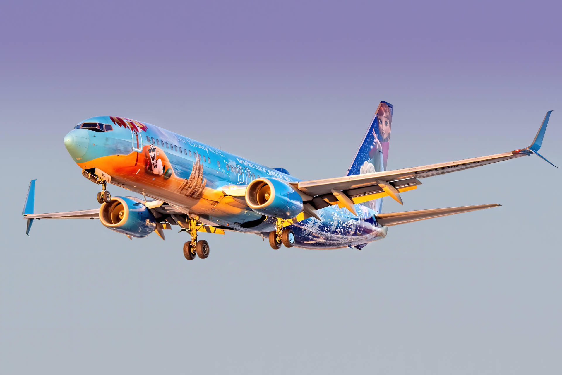 Blauerund Gelber Westjet Flugzeug Wallpaper
