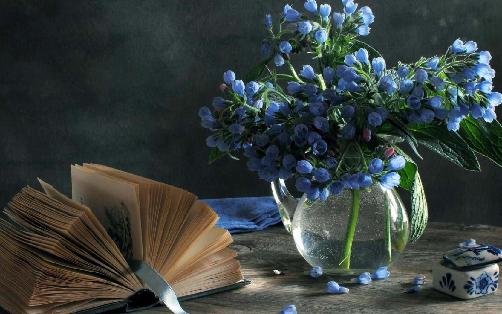 Blaueglockenblume Buch Stillleben Wallpaper