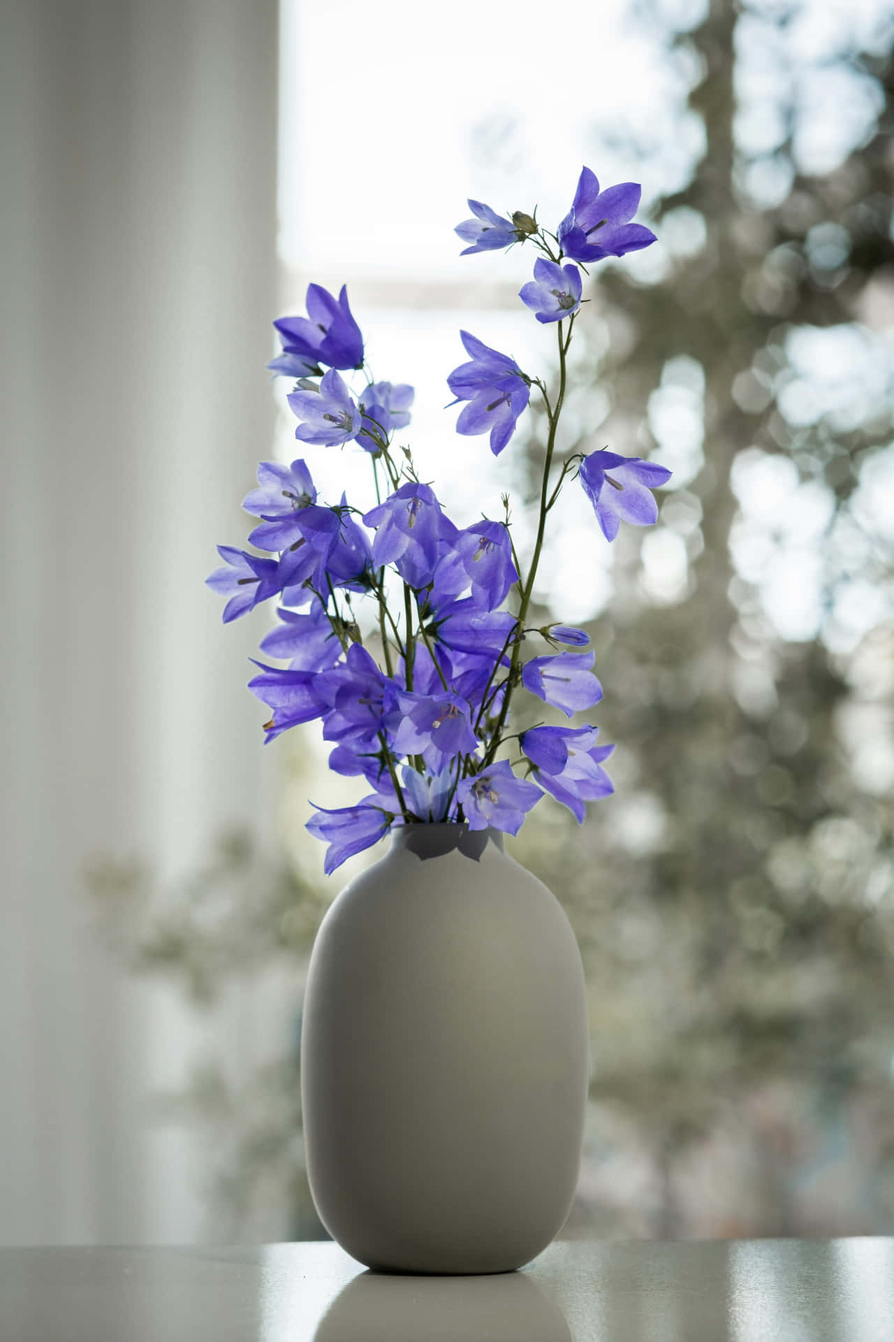 Blue Bellflowersin White Vase Wallpaper