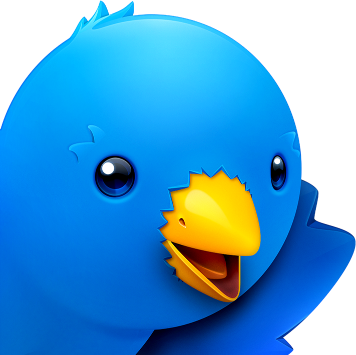 Blue Bird Cartoon Character PNG
