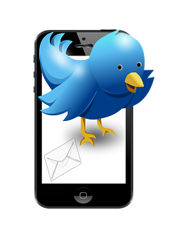 Blue Bird Emergingfrom Smartphone PNG