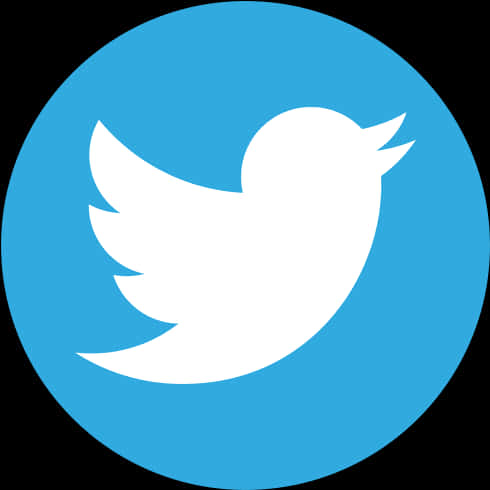Blue Bird Social Media Icon PNG