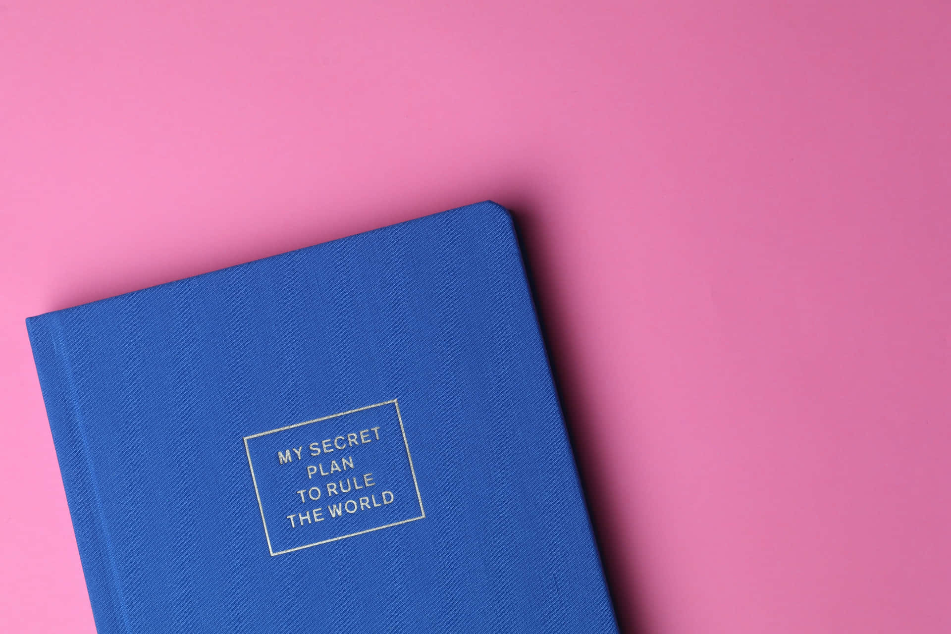 Blue Book On Pink Surface Picture