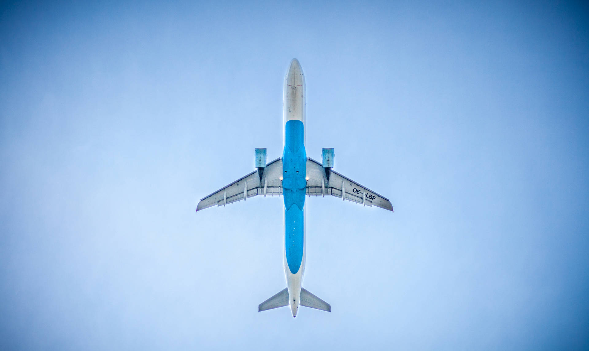 Blue Bottomed Plane Wallpaper