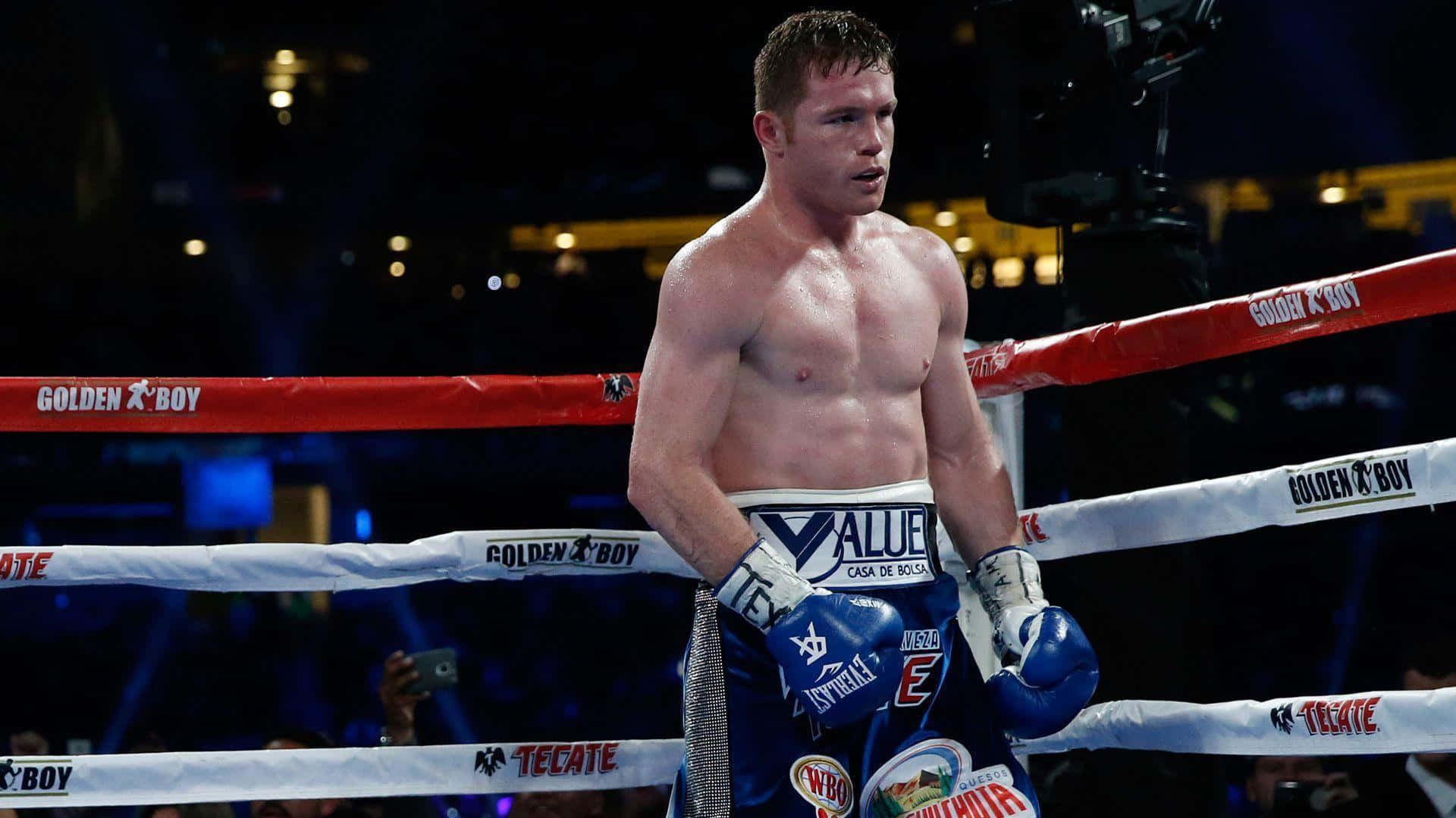 Blue Boxing Gloves Of Boxing Champion Saul 'canelo' Alvarez Wallpaper