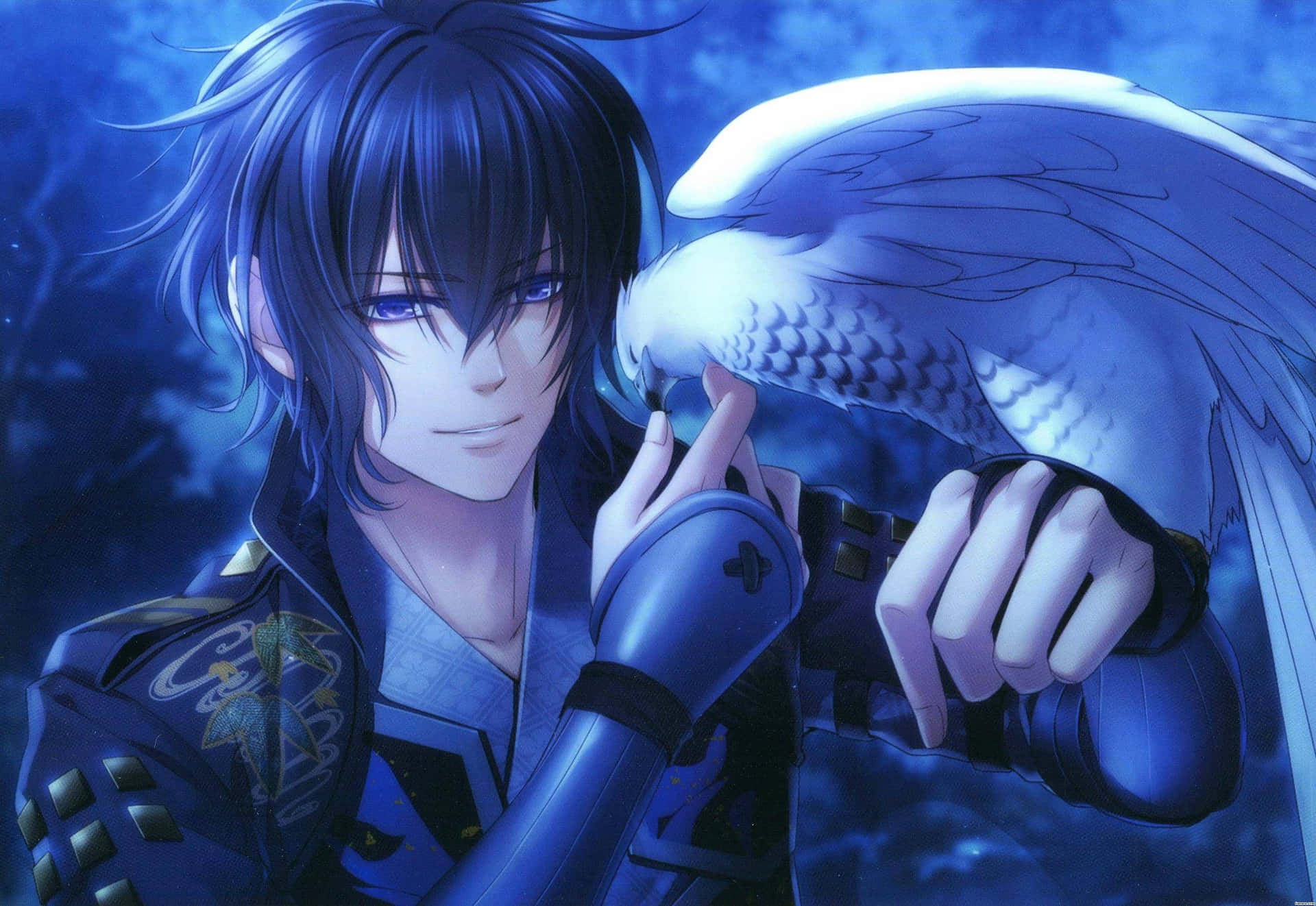 Anime Blue Boy Holding Bird Wallpaper