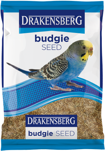 Blue Budgie On Seed Package PNG