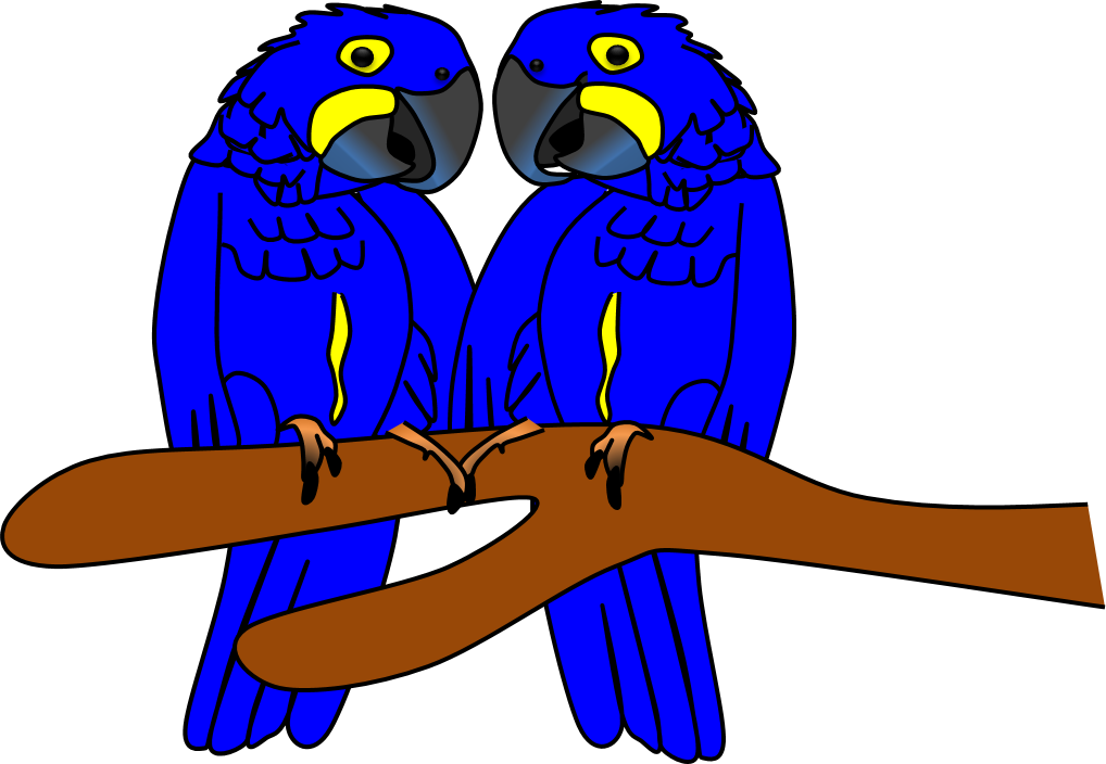 Blue Budgies Perching PNG