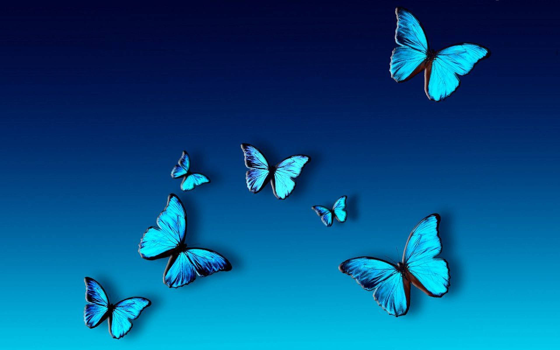 Blue Butterflies Aesthetic Desktop Wallpaper